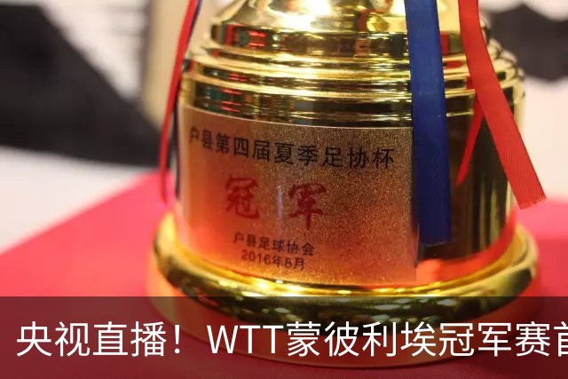 央视直播！WTT蒙彼利埃冠军赛首日赛程出炉，孙颖莎不食言迎复出首秀，万众期待
