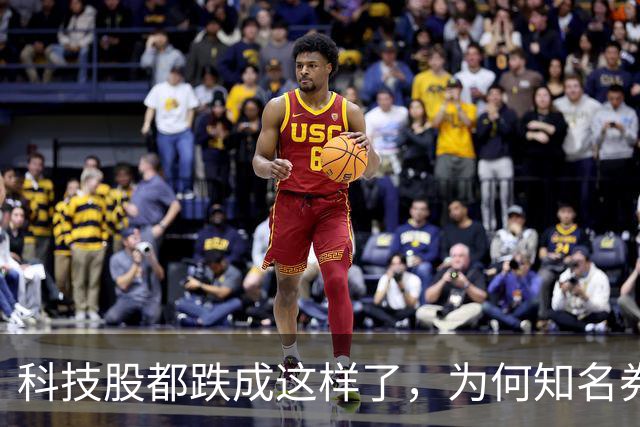科技股都跌成这样了，为何知名券商首席却说科技行情还远未结束？
