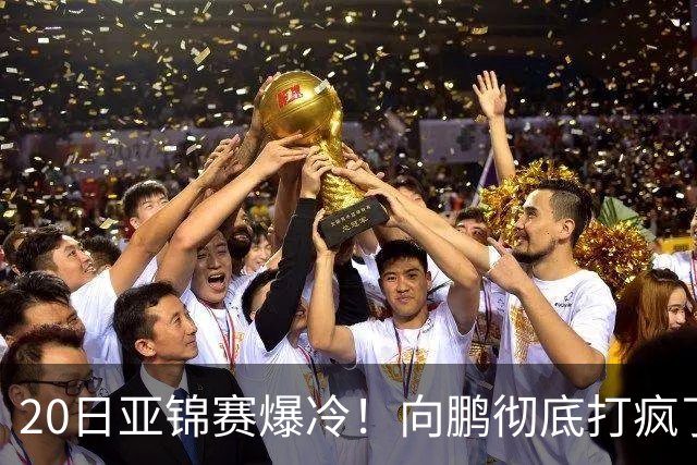 20日亚锦赛爆冷！向鹏彻底打疯了，李天阳制造惨案，国乒冲冠有望